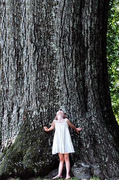 Little girl stands at the base of a very large oak tree and looks up.