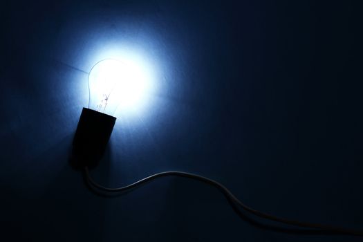 energy bulb macro close up