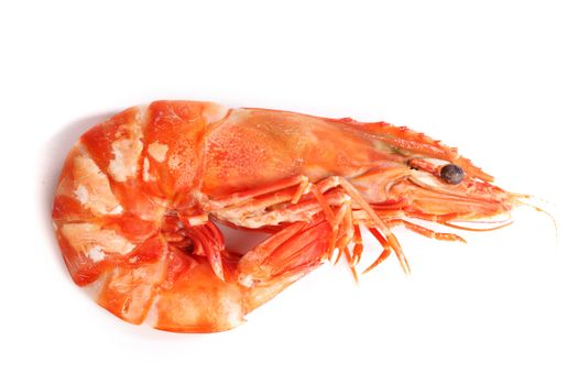 boiled shrimp isolated on white background