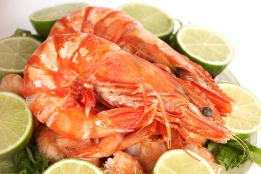 shrimp background macro close up