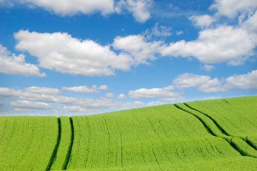 Green hill and  clouds