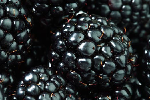 blackberry background macro close up