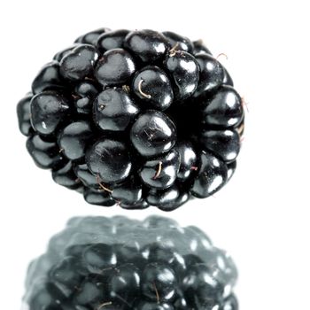 blackberry  isolated on white background