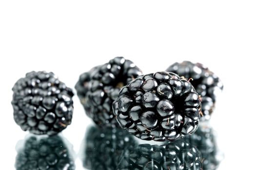 blackberry  isolated on white background