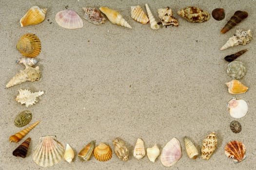 Frame with many different seashells. Place your own object or tekst in the frame.