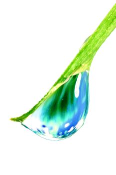 big water drop on grass blade isolated