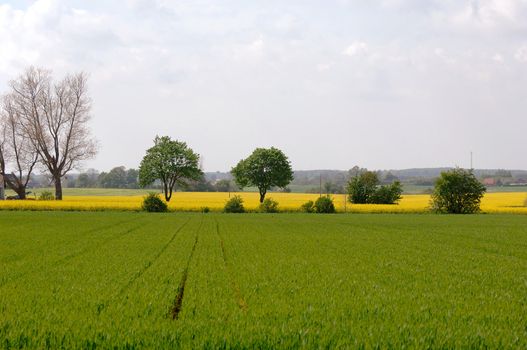 Farmland with green and yellow fieldss