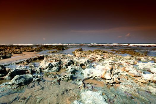 Reef stones an ocean water