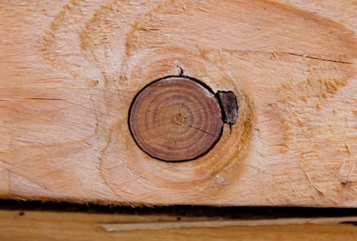 Wood with knot