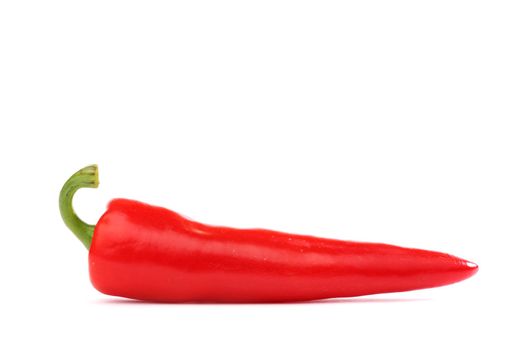 red hot chili pepper isolated on white