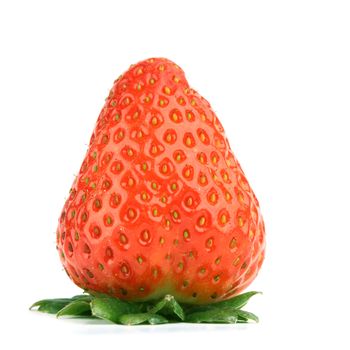 one strawberry on white background