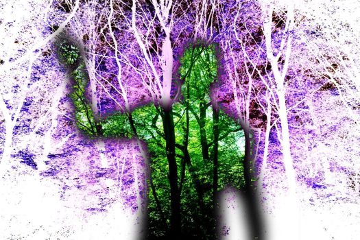 A representation of a ghost in some dark woods.