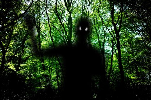 A representation of a ghost in some dark woods.