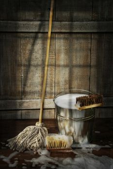 Mop with bucket and scrub brushes