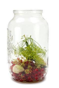 Set for canning cucumbers. In a glass jar are different ingredients for the marinade canning cucumbers. On a white background.