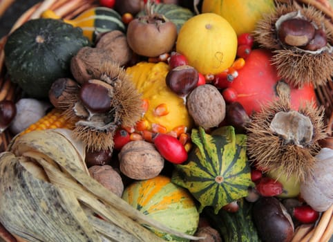 Autumn Harvest