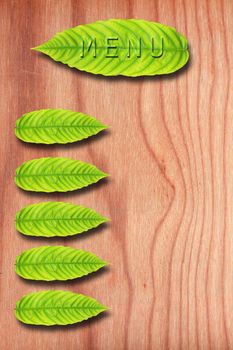 Menu Green Leaf on wood wall.