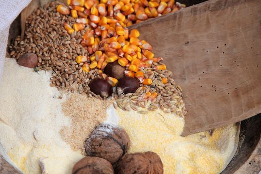 Autumn Harvest