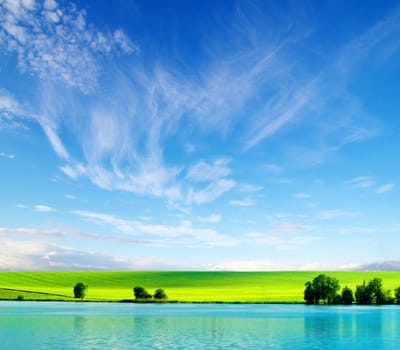 field on a background of the blue sky