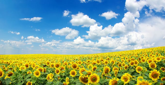 blue sky background with tiny clouds