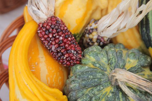 Autumn Harvest