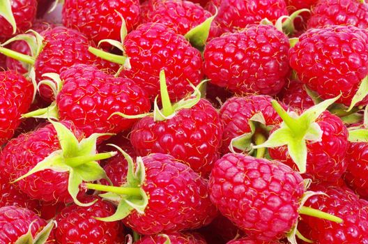sweet fresh raspberry close up