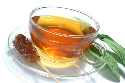 Teacup on a white background with fresh sage