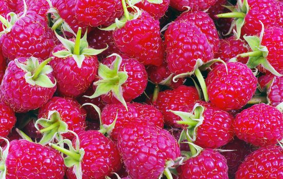 sweet fresh raspberry close up