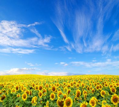 blue sky background with tiny clouds