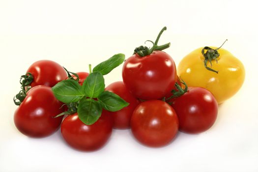 colorful tomatoes and basil on a white background
