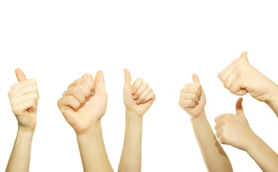 Many hand lifted up on white background