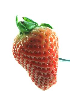 fresh strawberry on a fork on a white background