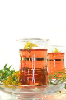 a cup of St. John's tea with fresh flowers on a white background