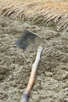 spade ready to prepare vegetable bed for sowing 