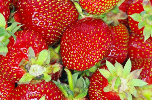 macro of a strawberry texture