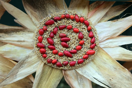 Colorful handmade flowers made of corn