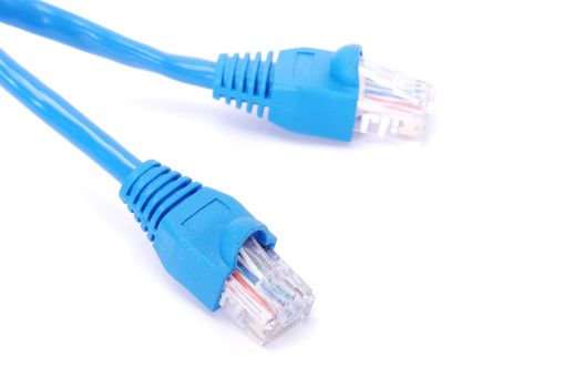  Macro shot of network connection plug