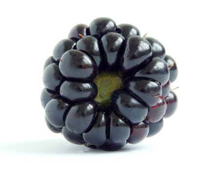 blackberry isolated on white background