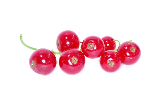 red currant isolated on a white background