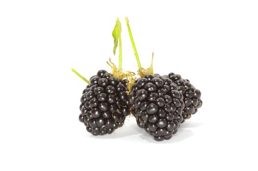 blackberry isolated on white background