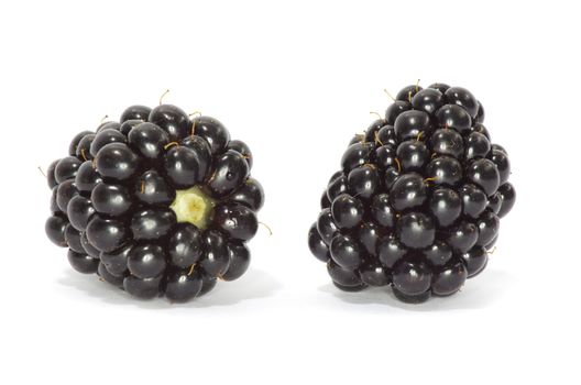 blackberry isolated on a white background