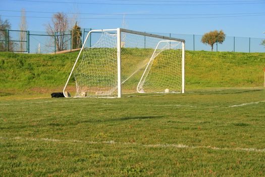 Green grass soccer field on sunny day.
