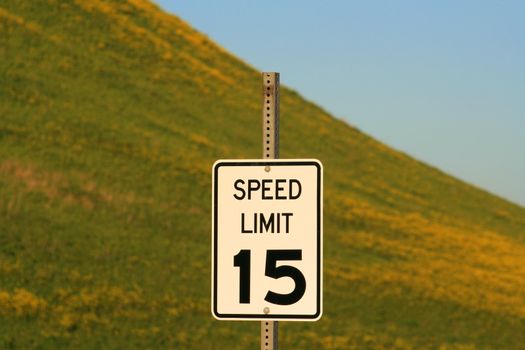 Speed limit road sign next to a mountain.
