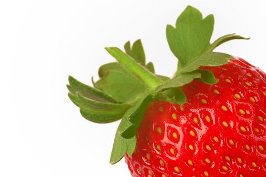 Fresh Norwegian Strawberry.