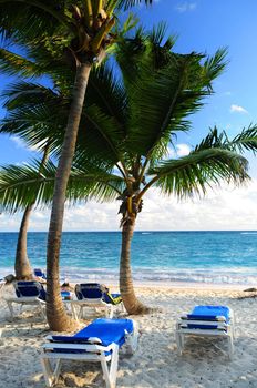 Sandy beach of tropical resort with palm trees and reclining chairs