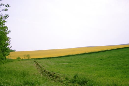 view of open fields across the sussex downs uk