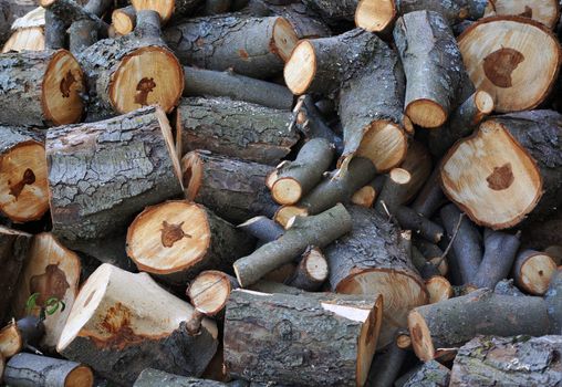 Stack of firewood