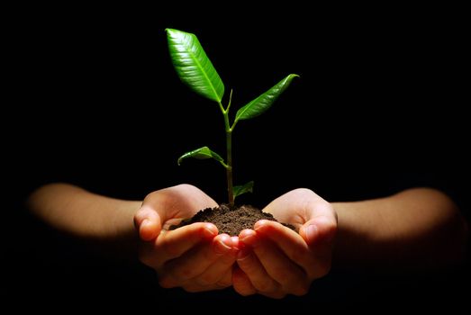 Hands holding plant in soil on black