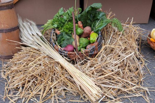 Autumn Harvest