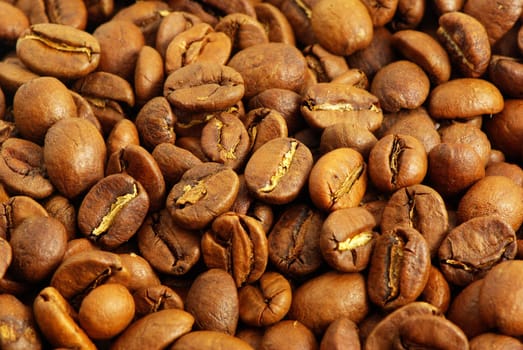 Close up of the aromatic coffe beans